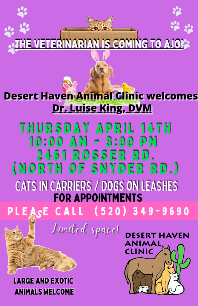 Desert Haven Animal Clinic | Ajo, Arizona
